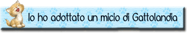 www.gattolandia.com