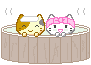 gattofaccina448.gif