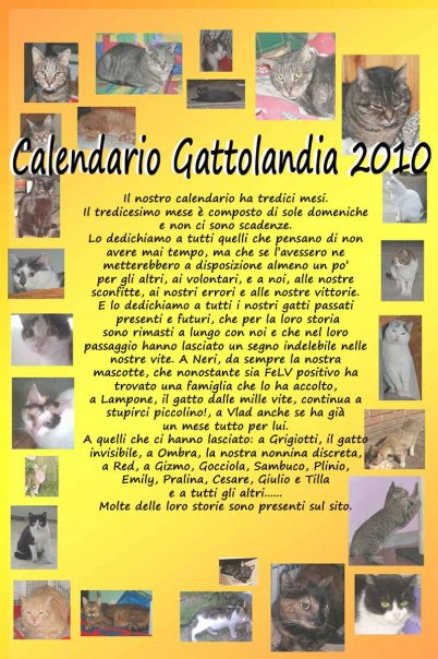 Immagine Allegata