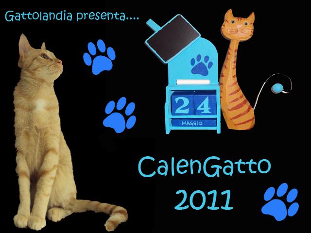 Immagine Allegata