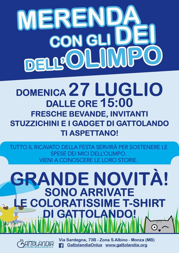 Immagine Allegata